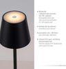 SellTec LED Außen-Stehlampe LED Stehleuchte Touch, dimmbar über Touchdimmer, höhenverstellbar, aufladbar über USB, 1xLED-Board/2,50W/3000K, warmweiß, höhenverstellbar, dimmbar per Touch, IP54, USB, Memoryfunktion Bild 3