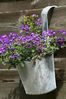 Spetebo Kräutertopf Zink Blumentopf zum Einhängen Ø 13 cm - 6er Set (6er Set, 6 St, Pflanztöpfe), Balkon Hängetopf mit Haken Bild 5