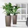 LECHUZA Blumentopf Cubico 40 ALL-IN-ONE Hochglanz-Taupe 18215 421492 Bild 2