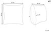 Kissen 2er Set Abstraktes Muster MANDEVILLA Samtstoff 45 x 45 cm Schwarz Bild 3