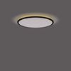 Philips Ozziet Deckenleuchte schwarz 1800lm SceneSwitch Bild 4
