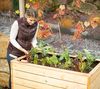 Westmann Asket M | Garten Hochbeet aus Holz | ohne Bild 5