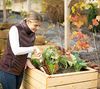 Westmann Asket M | Garten Hochbeet aus Holz | ohne Bild 3