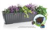 alpfa 852539 Pflanzkasten mit Bewässerung - 60 cm - Farbe: ANTHRAZIT Bild 2