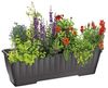 alpfa 852539 Pflanzkasten mit Bewässerung - 60 cm - Farbe: ANTHRAZIT Bild 3