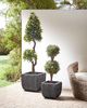 Set mit 2 Blumentöpfen BERBERIS PE Rattan 34 45 cm Schwarz Bild 2