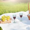 Spetebo Weinglas Mehrweg 350 ml transparent grün 6er Set, Kunststoff, Camping Weinkelch wiederverwendbar Bild 5