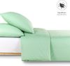 Alreya 3 TLG Renforcé Bettwäsche 240x220 cm mit 2 Kissenbezuge 80x80 cm - 100% Baumwolle mit YKK Reißverschluss, Superweiches Bettbezug, Grün Bild 5