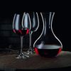 Nachtmann Vivendi Premium Dekantier Set, 5-tlg, Karaffe und Rotweingläser, Kristallglas, 0093605-0 Bild 5
