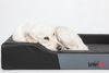 Bjird Tierbett Hundebett Charly aus Kunstleder, Bezug abnehmbar und waschbar, Hundesofa für kleine und grosse Hunde, Größe: S,M,L(XL) Bild 2