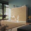 SMARTBett Schrankbett Classic mit Gasdruckfedern 100x200cm 140x200cm 160x200cm horizontal/quer oder vertikal/hochkant klappbar Bild 2