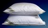 Betten Hofmann Premium Royal Night Kissen Kopfkissen 80x80 cm Federkissen 15% Daunen Bild 2