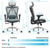SIHOO Ergonomischer Bürostuhl, Chefsessel mit 3D verstellbare Armlehne und Lendenwirbelstütze, Hautfreundliche Netz-Hochlehne, Schreibtischstuhl bis 150kg/330LB Belastbar, Grau Bild 3