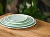 Rosenthal Junto Jungle Teller flach 22 cm Bild 4