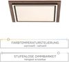 Paul Neuhaus 6141-79 PALMA Deckenleuchte Holzdekor Bild 4