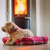 Nobby Hundebett Kareli 60 x 60 x 20 cm rot Bild 3