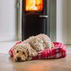 Nobby Hundebett Kareli 60 x 60 x 20 cm rot Bild 2