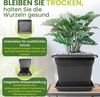 2friends Pflanzkübel 8er Set Anthrazit Pflanzkübel Eckig mit Untersetzer, ‎28 x 28 x 22 cm Blumentopf für Tomaten und Blumen für Balkon & Garten Bild 5
