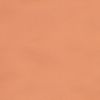 Liedeco Schiebegardine (1 St), Klettband, transparent, HxB: 245x60, ohne Paneelwagen Bild 2