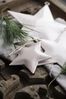 Weihnachtsdeko Weihnachtsschmuck Stern 15x15cm Rosa Ib Laursen 2515-43 Bild 5