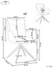 Esszimmerstuhl 2er Set AVELAR Helles Beige Bild 3