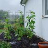 Relaxdays Rankgitter 4er Set Bild 5