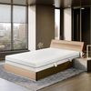 ESSENCE SLEEP Schaum Matratze - 100 x 200 x 18 cm, 2 in 1 Kaltschaummatratze, 7 Zonen Matratze mit 1 Kissen, H2, Rollmatratze – Atmungsaktiv Bequem und Langlebig, Öko-Tex Zertifiziert, Memory Foam Bild 2
