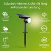 Philips Ashlyn Solar-Spot/Wandleuchte für den Außenbereich, 2700 K, 150 lm, Schwarz Bild 2