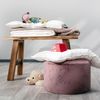 Ganzjahresbett CENTA-STAR JUNIOR BL 100x135 cm weiß Bettdecke Vierjahreszeitenbett Bild 2