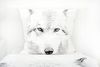 Bettwäsche Set mit Wolf 135 x 200 cm 80 x 80 cm 100% Baumwolle Bild 3