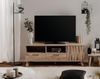 TV-Lowboard Douro in Schweden Eiche 140 cm Bild 5