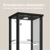 K-Möbel Glasvitrine C1016 (Glasvitrine (176x37x33 cm) mit 1 Glastür) Glasvitrine stehend Bild 5