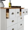 IDIMEX Kommode COLMAR, Schubladenschrank Kommode Apothekerschrank Sideboard mit 8 Schubladen Bild 4