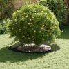 vidaXL geeignet für flachen Baumring Olivgrün Ø60 / 90 cm Stahl 873710 Bild 3