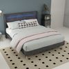 Flieks Polsterbett 140x200cm, Doppelbett mit LED-Kopfteil, Samt, Grau Bild 2