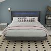 Flieks Polsterbett 140x200cm, Doppelbett mit LED-Kopfteil, Samt, Grau Bild 3