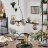 hofstein Pendelleuchte Hängelampe aus Metall/Glas in Schwarz/Bernstein-/Rauchfarben, ohne Leuchtmittel, Hängeleuchte im Retro/Vintage-Design mit Glasschirmen, 8 x G9 Bild 2