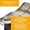 Lattenrost Flex 42 Motor, Kopfteil und Fußteil elektrisch verstellbar Größe 160 x 200 cm Bild 2