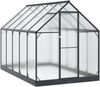 vidaXL Garten Gewächshaus mit Tür Anthrazit 183,5 x 303,5 x 207 cm 3433043 Bild 2