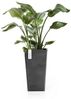 ECOPOTS Blumentopf ROTTERDAM MID HIGH Dark Grey, BxTxH: 31 x 31 x 56 cm Bild 2