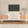TV-Schrank Rattan MDF Holz Schubladen Türen Wohnzimmer Massivholz Kommode Natur-Design Modern Bild 5