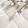 Letti Moderni Latexkissen Natur Classic - Nackenkissen Baumwoll Kissenbezug - 40x60, 40x70, 40x80 Höhe 14 cm - 40x60x14 Bild 5