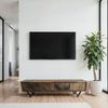 FineBuy Lowboard Sheesham Massivholz 160 cm, TV Board mit Front in Steinoptik & schwarzem Metallgestell, Fernsehschrank Industrial Design, TV Möbel Wohnzimmer Holz Metall Bild 2
