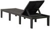 vidaXL Sonnenliege Kunststoff Anthrazit 315827 Bild 5