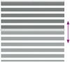 vidaXL Doppelrollo Dunkelgrau 165x150 cm Stoffbreite 160,9 cm Polyester 4014144 Bild 5