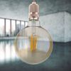 LED Lampe, Dimmbar, E27 Fassung, D 12,5cm Bild 4