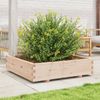 vidaXL Pflanzkübel 100x100x26,5 cm Massivholz Kiefer 847318 Bild 3
