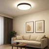 LED Deckenleuchte, anthrazit, opal, D 48 cm Bild 4