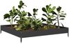 vidaXL Hochbeet Schwarz 100x100x18,5 cm Stahl 851010 Bild 3