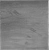 vidaXL Teppich OVIEDO Kurzflor Anthrazit 120x120 cm 375467 Bild 2